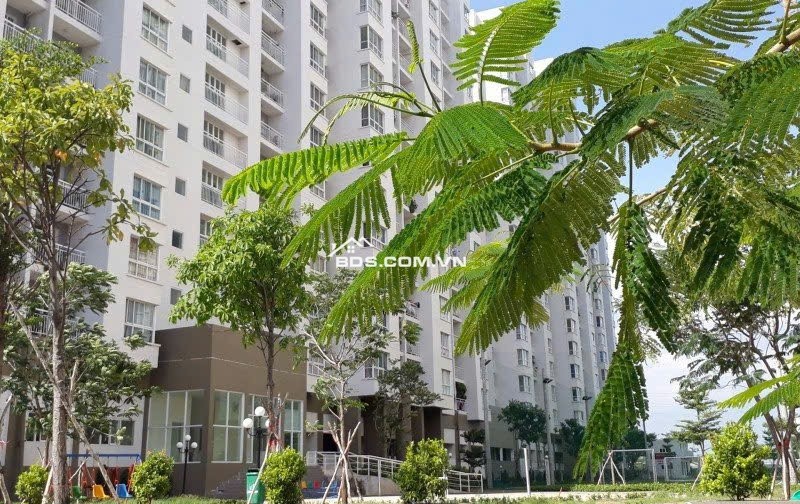 Cho thuê căn hộ đường Nguyễn Văn Linh.